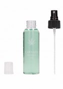 Cannabis Massage Oil - 100ml Cannabis Massage Oil - 100ml