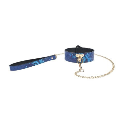 Florence Collection - Collar with Leash - Blue Florence Collection - Collar with Leash - Blue