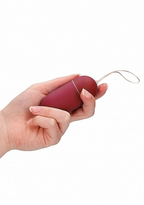 10 Speed Remote Vibrating Egg - Big - Red 10 Speed Remote Vibrating Egg - Big - Red