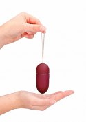10 Speed Remote Vibrating Egg - Big - Red 10 Speed Remote Vibrating Egg - Big - Red