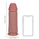 Extra Thick No Balls 10"" Extra Thick No Balls 10""