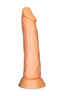 A-TOYS Realistic dildo Toon, TPE, nude, 17,5 cm A-TOYS Realistic dildo Toon, TPE, nude, 17,5 cm