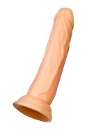 A-TOYS Realistic dildo Toon, TPE, nude, 17,5 cm A-TOYS Realistic dildo Toon, TPE, nude, 17,5 cm