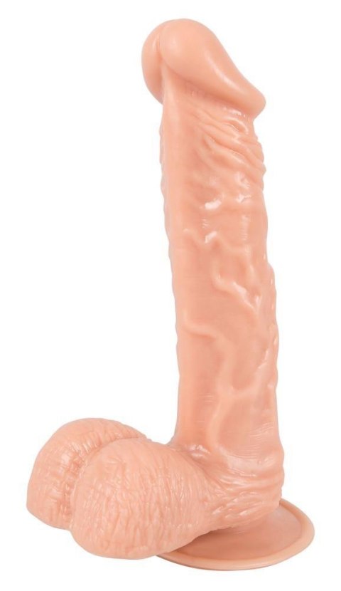 European Lover medium European Lover medium