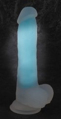 Glow in the Dark Dildo Glow in the Dark Dildo