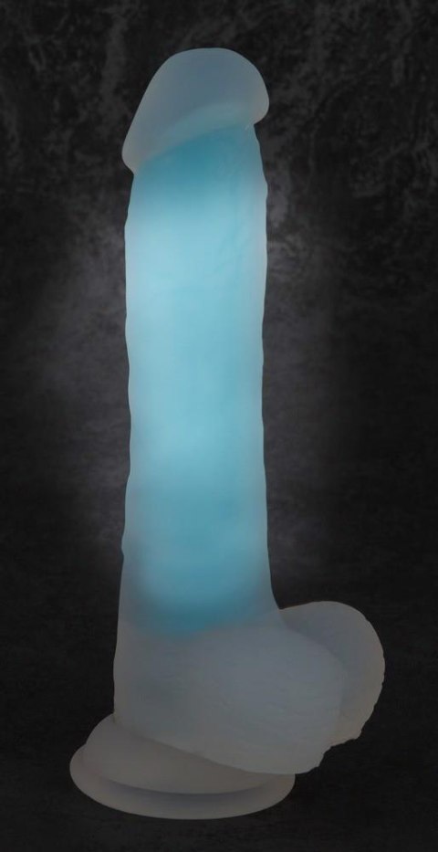 Glow in the Dark Dildo Glow in the Dark Dildo