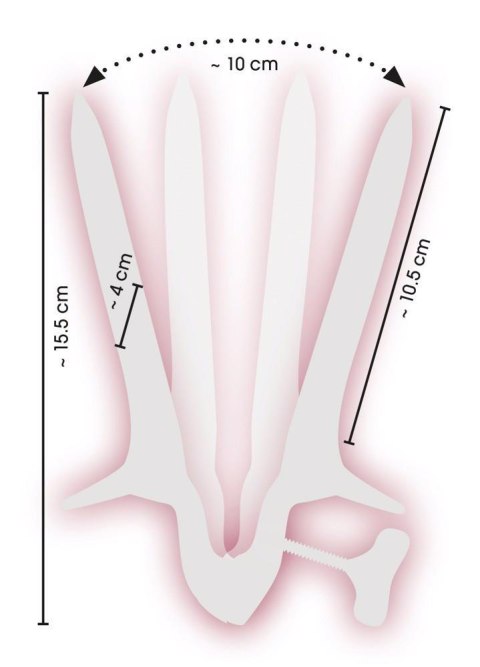 Vaginal Speculum Vaginal Speculum