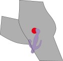 3 Pointer purple 3 Pointer purple