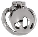 Penis cage glans Penis cage glans