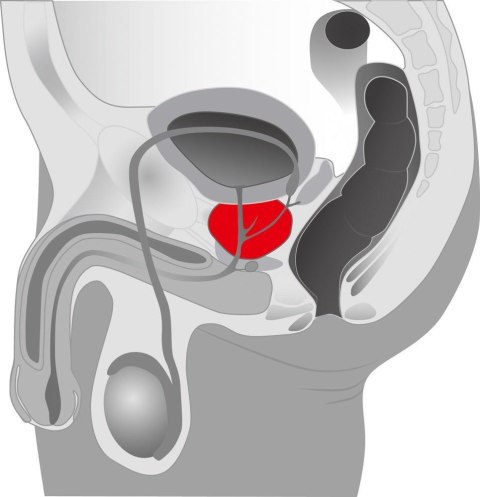 Prostata Twister Prostata Twister