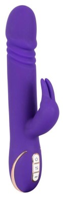 Rabbit Skater Purple Rabbit Skater Purple