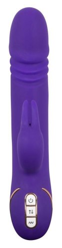 Rabbit Skater Purple Rabbit Skater Purple