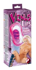 Venus Lips Venus Lips