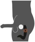 Rechargeable Prostate Stimulat Rechargeable Prostate Stimulat