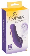 Sweet Smile RC Panty Vibrator Sweet Smile RC Panty Vibrator
