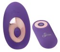 Sweet Smile RC Panty Vibrator Sweet Smile RC Panty Vibrator