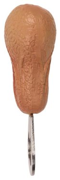 Bottle Opener Bottle Opener