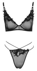 Bra and Rio S Bra and Rio S