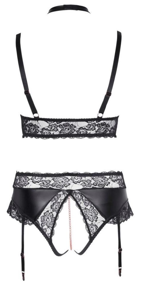 Bra and Suspender Briefs XL Bra and Suspender Briefs XL