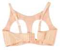 Breasts with Bra Breasts with Bra