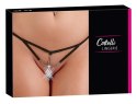 String Starfish M/L String Starfish M/L