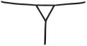 String Starfish M/L String Starfish M/L