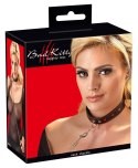 Collar and Leash Collar and Leash