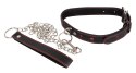 Collar and Leash Collar and Leash