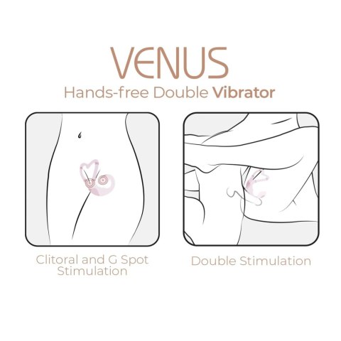 AD. Venus + APP AD. Venus + APP