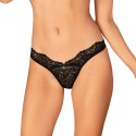 Bellastia stringi XL/2XL Bellastia stringi XL/2XL