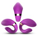 Crescent purple Crescent purple