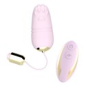 Kitty light pink Kitty light pink