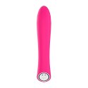Mistress rose pink Mistress rose pink