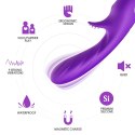Romance purple Romance purple