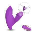 Whistle purple Whistle purple