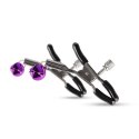 Secret Pleasure Chest - Black Secret Pleasure Chest - Black