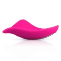 Mini Vibrator With Remote Control Mini Vibrator With Remote Control