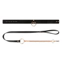 Rosy Gold - Collar with Leash - Black Rosy Gold - Collar with Leash - Black