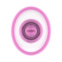 Teazers Suction Cup with Clitoris Vibrator Teazers Suction Cup with Clitoris Vibrator