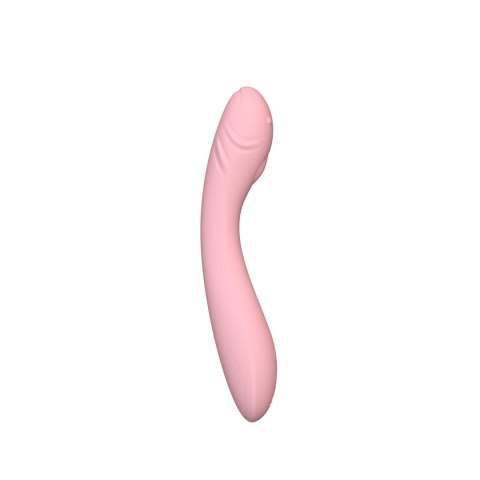VIBRATOR PINK VIBRATOR PINK