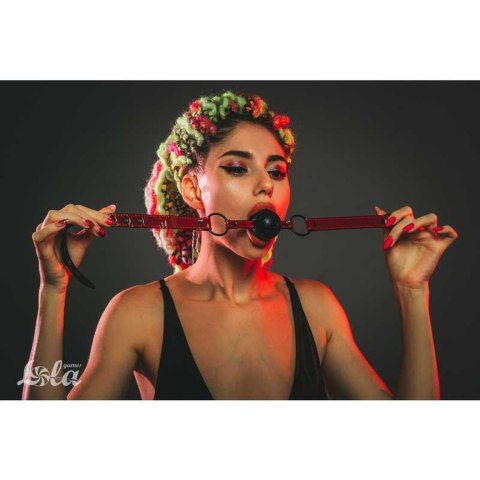 Ball Gag Party Hard Love Bite Ball Gag Party Hard Love Bite
