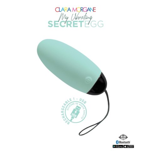 My Vibrating Secret EGG Turquoise - App controlled My Vibrating Secret EGG Turquoise - App controlled