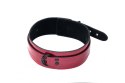 The Collar Party Hard Eccentric The Collar Party Hard Eccentric
