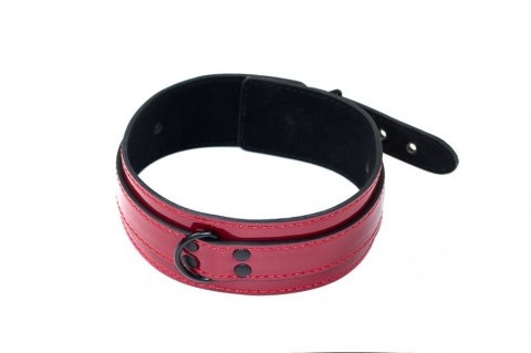 The Collar Party Hard Eccentric The Collar Party Hard Eccentric