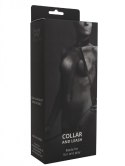 Black Collar And Leash Black Collar And Leash