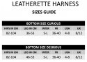 LEATHERETTE HARNESS CURIOUS LEATHERETTE HARNESS CURIOUS