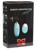 Remote Vibrating Egg Mint Green Remote Vibrating Egg Mint Green