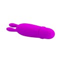 PRETTY LOVE - BOYCE, 10 function PRETTY LOVE - BOYCE, 10 function