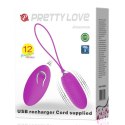 PRETTY LOVE - JOANNA, USB, 12 function PRETTY LOVE - JOANNA, USB, 12 function