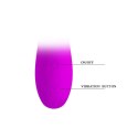 PRETTY LOVE - PAUL Purple, USB 30 function PRETTY LOVE - PAUL Purple, USB 30 function